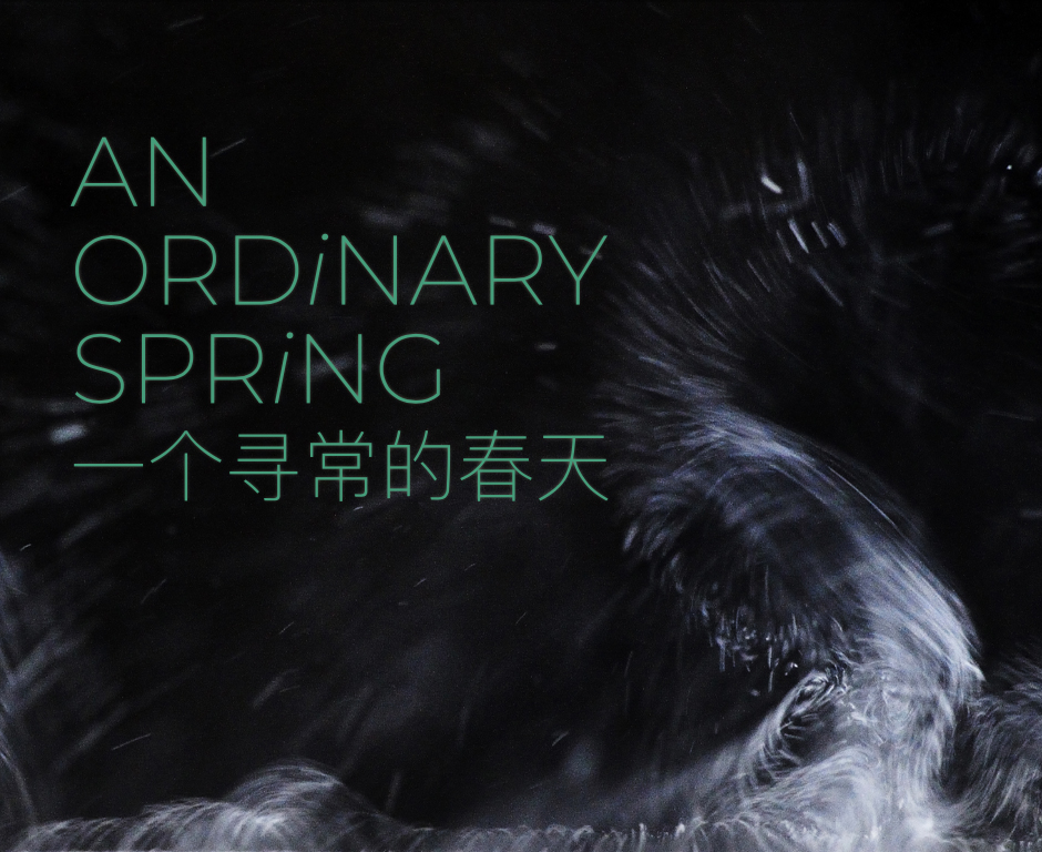 Eventbild für Zhang Qiwei /// An ordinary spring
