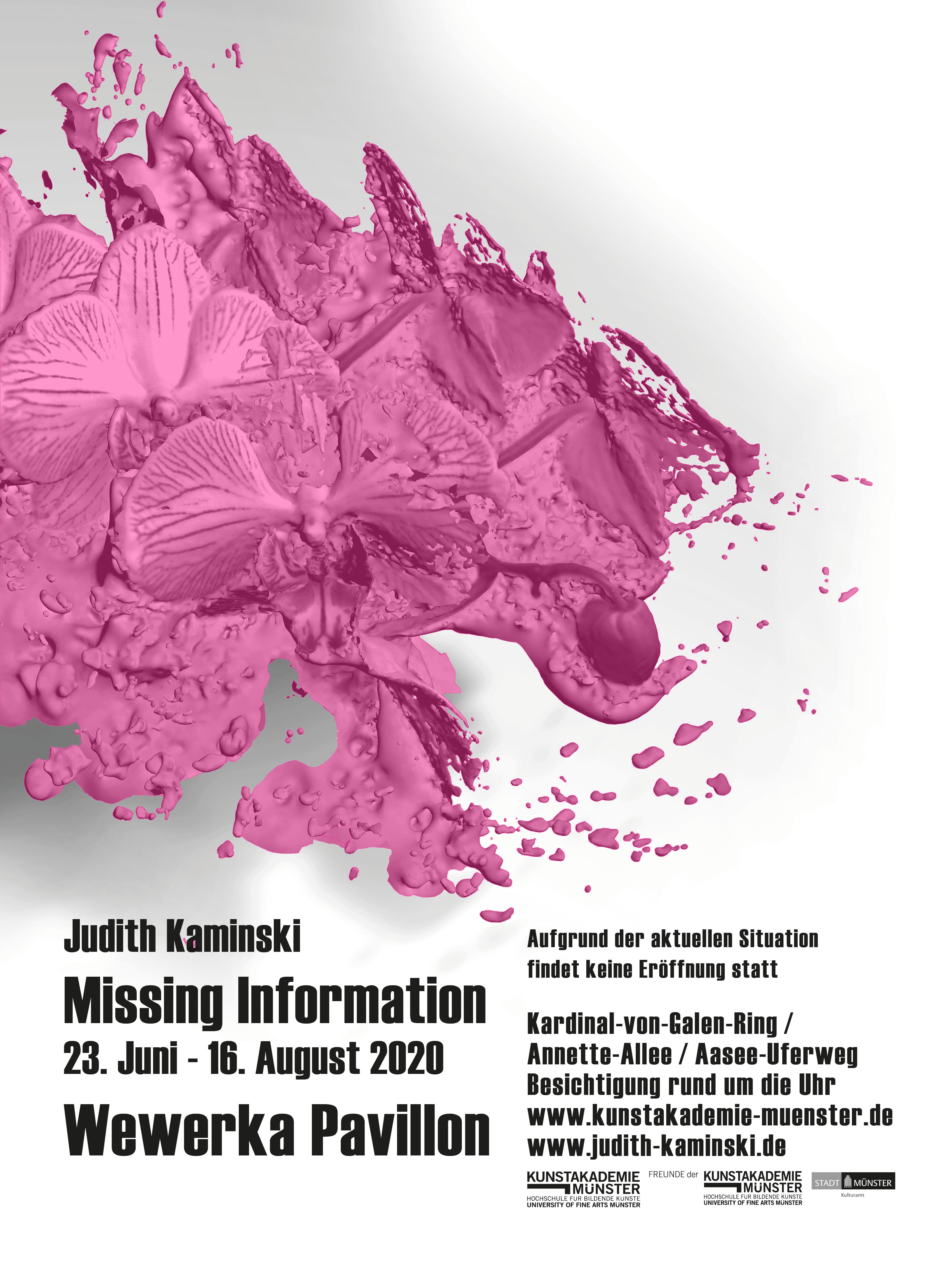 Eventbild für Missing Information