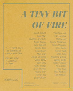 Eventbild für Gruppenausstellung mit Jonas Hohnke u.a. /// A tiny bit of fire