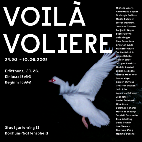 Eventbild für Jonas Hohnke u.v.a. /// Voilá voliere