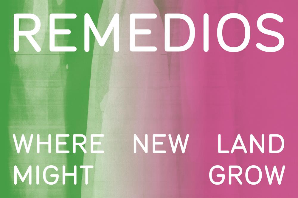 Eventbild für Klaus Weber u.a. /// Remedios: Where new land might grow